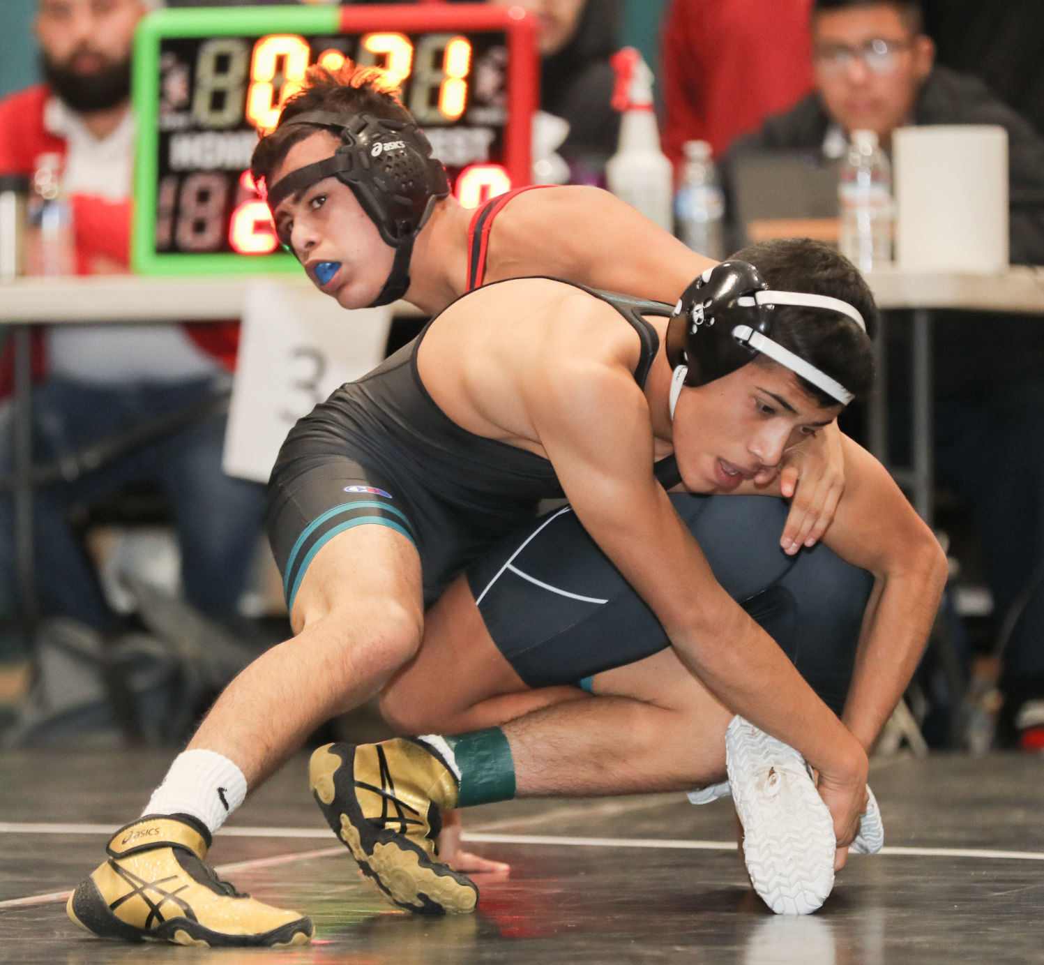 122918 The Bash at Pioneer Valley 01.jpg